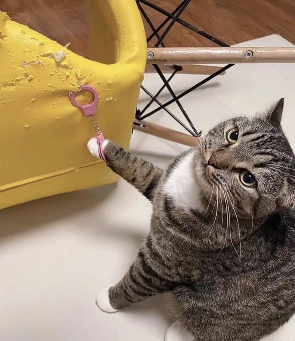 lisawrites_ym's tweet image. #yoonmin 

&quot;ha! finally got you, agust d!&quot;

&quot;sure you did, kitty.&quot; 😒