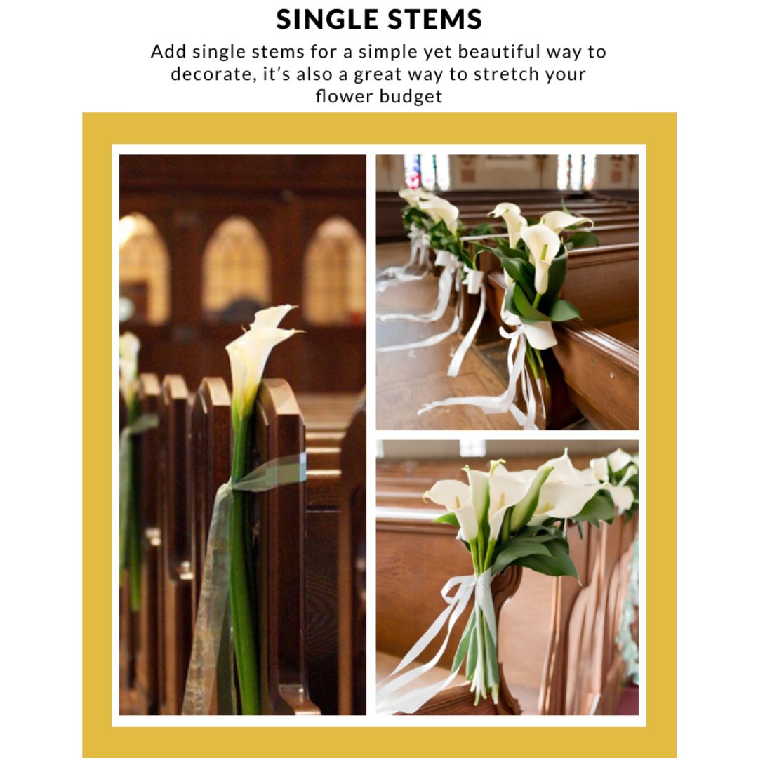 💍 Check out these top wedding decor ideas for church pews that will add a touch of sophistication to your special day. From whimsical florals to timeless greenery, find inspiration for a picture-perfect aisle on our blog.

pulse.ly/1nmkai1xac
