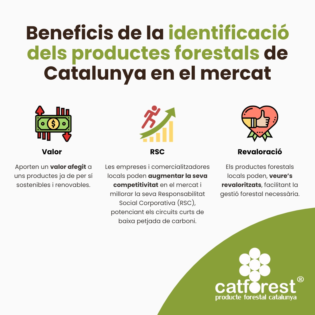 PEFC_Catalunya's tweet photo. Parlem de #CATFOREST i dels beneficis!
👉Pot sol·licitar la llicència de manera gratuïta i posar-te en contacte amb nosaltres per poder iniciar el procés d’inscripció.
#PEFC #gestioforestalsostenible #boscos
https://t.co/rWiTI9g9fz https://t.co/uB1161XCdk