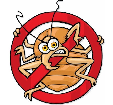 KwikKill's tweet photo. Don't let the bedbugs bite... give us a call https://t.co/EzhrBlK0mt