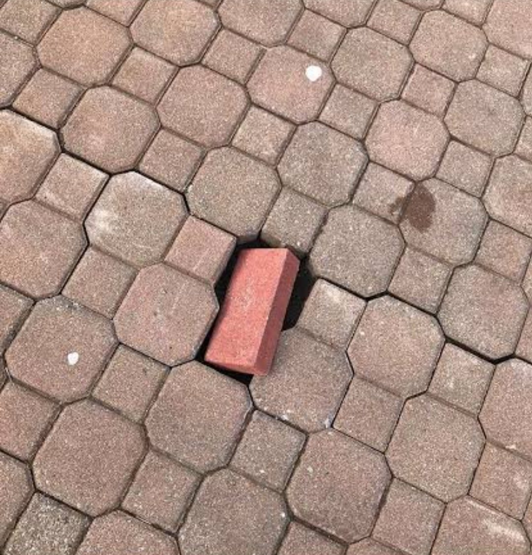 DBCP (@ssrombotann) on Twitter photo 