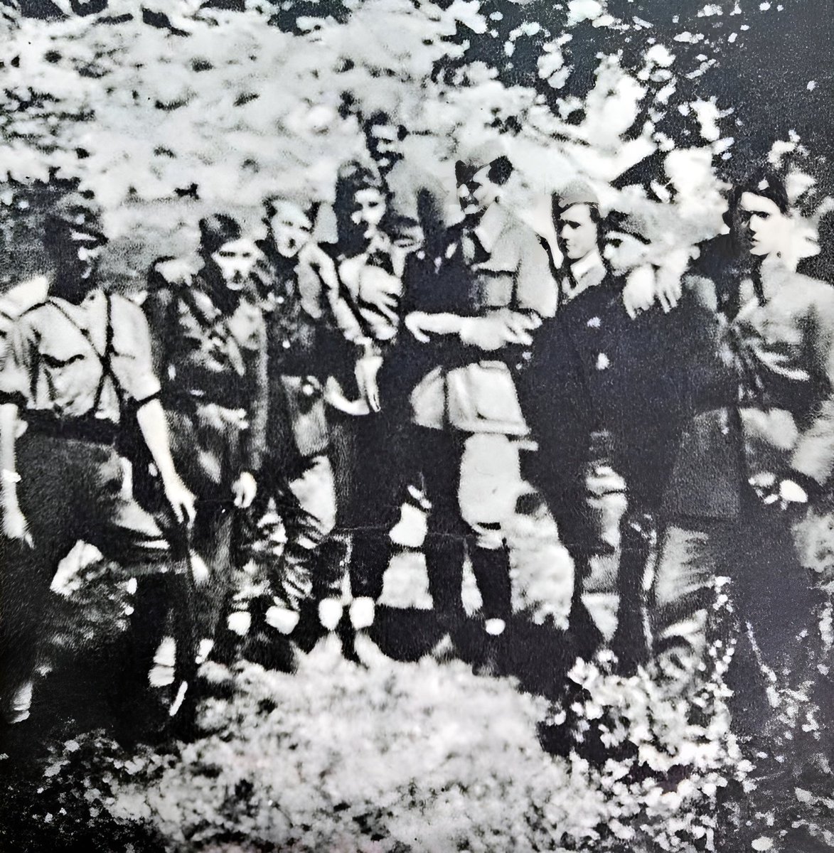 CDT_CrnaGora's tweet photo. #80god
14.11.1943.

U Drijenku kod Kolašina formirana je VI crnogorska brigada, od 530 boraca/-kinja iz svih partizanskih odreda sa teritorije Crne Gore. Za komandanta brigade imenovan je Veljko Žižić, a za političkog komesara Jovan Đurović. https://t.co/N7wBK6a6mw