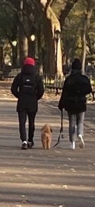 Taking the #puppy out for a walk with the homegirl 💖#enXantingXMEN https://t.co/dREb49ZGnY<a href="/tag/puppy"class="tags">#puppy</a><a href="/tag/enxantingxmen"class="tags"><span>#enxantingxmen</span></a>