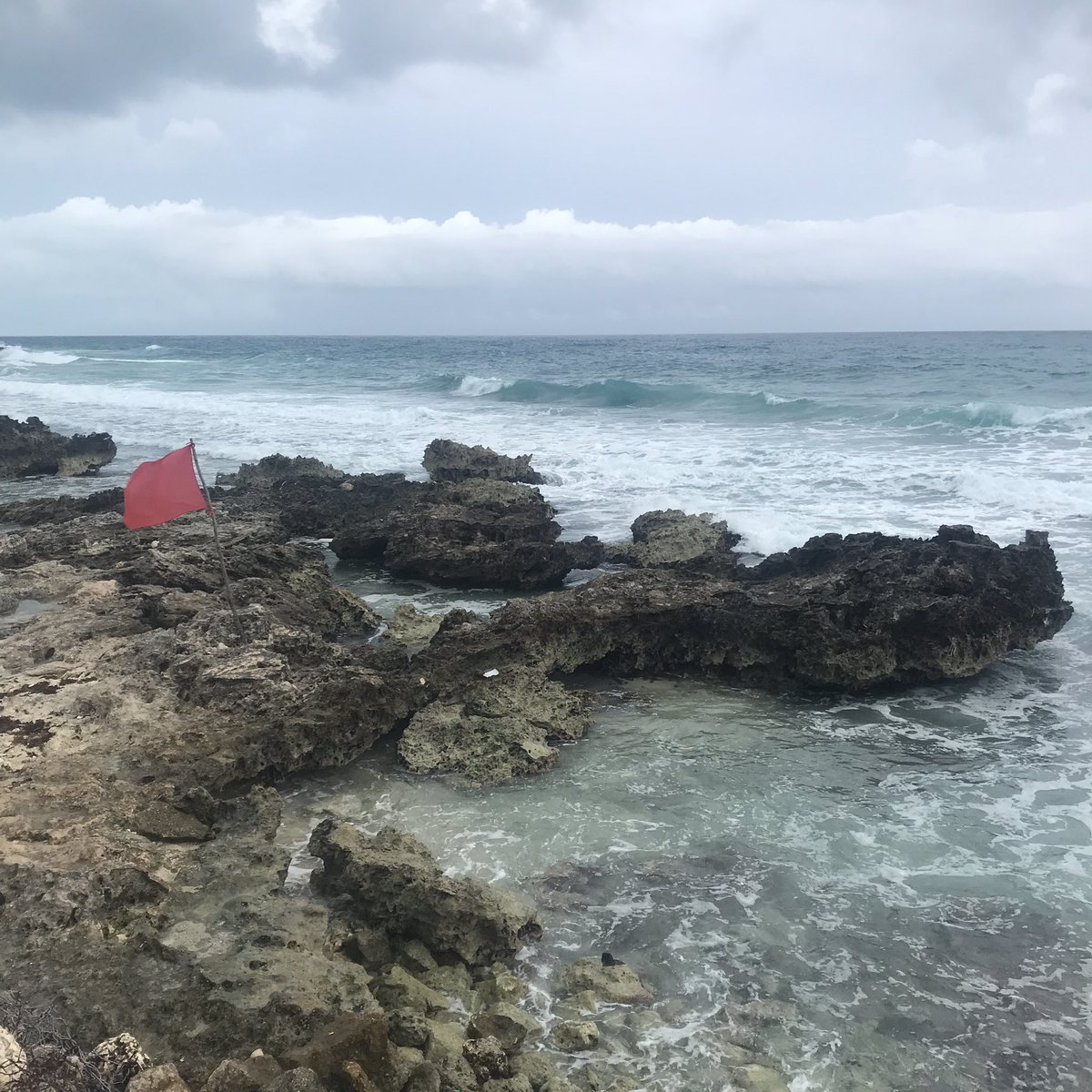 Kat 🦁 tweet media