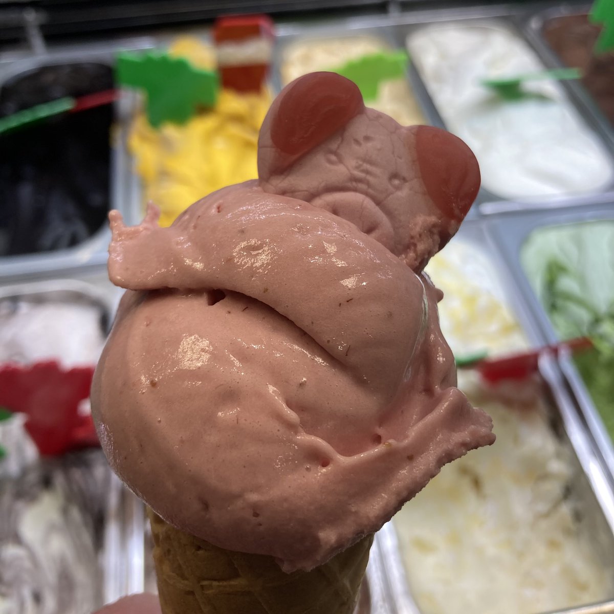 As seemingly none of the 350 actual mps have the skills to be foreign secretary Dave is back. 

In unrelated news we have a strawberry &amp;  raspberry pig flavour on sale now.