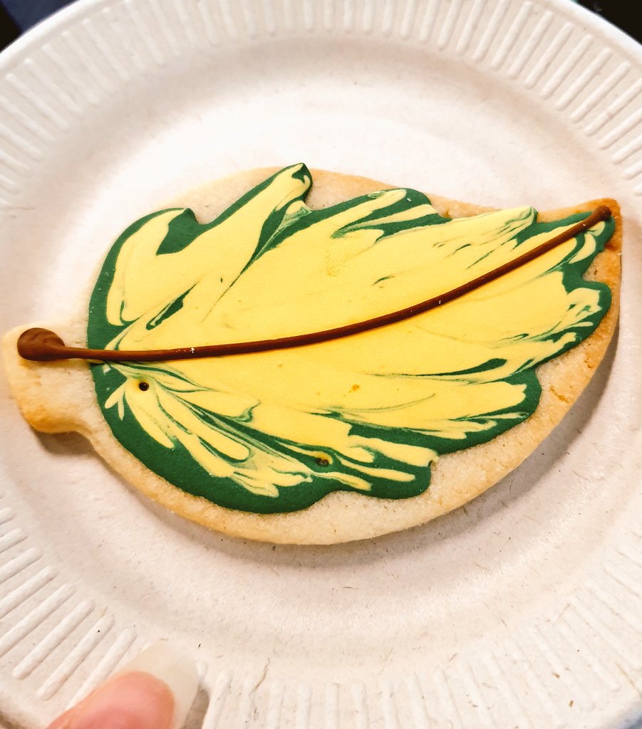 joo 🍒 kodama island 🍄🌿🌷 tweet media