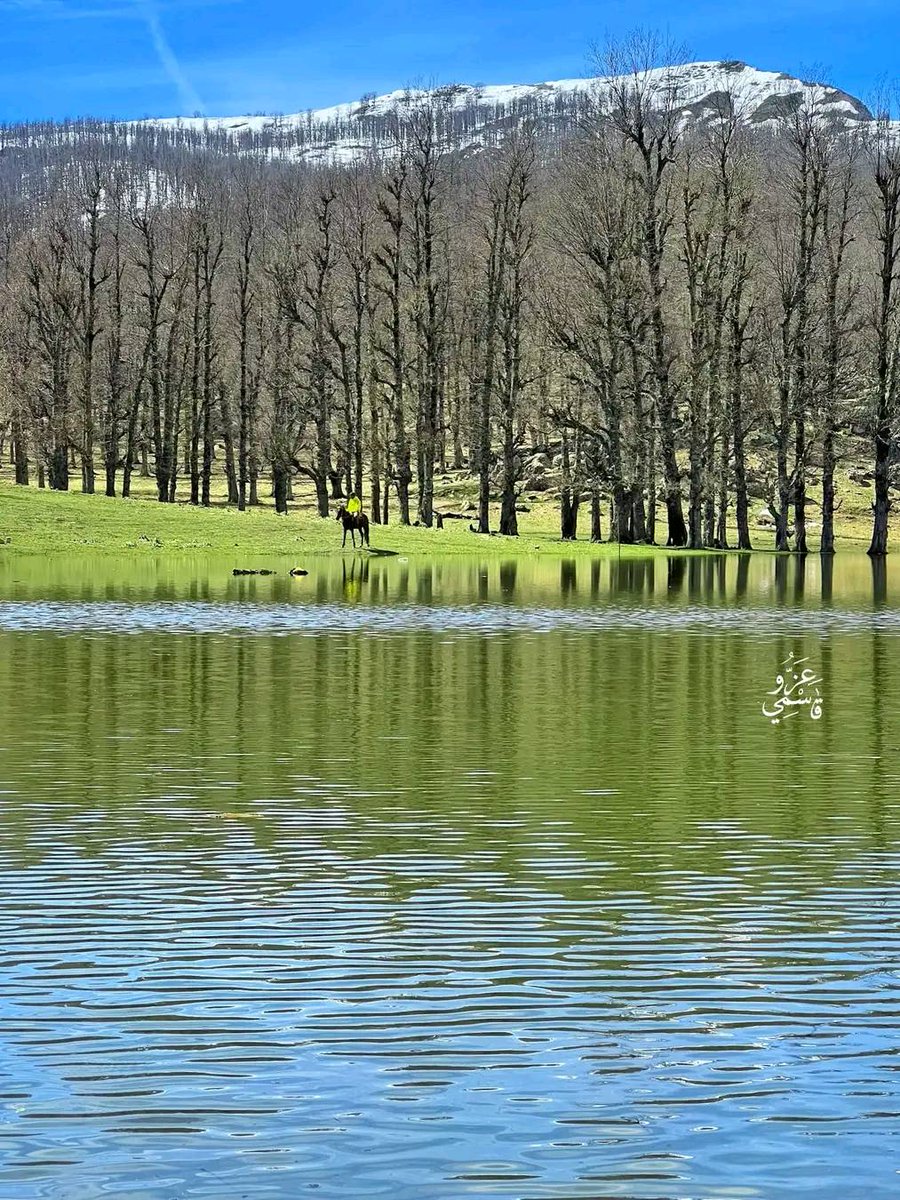 Michel Rocher (@rochermich) on Twitter photo 