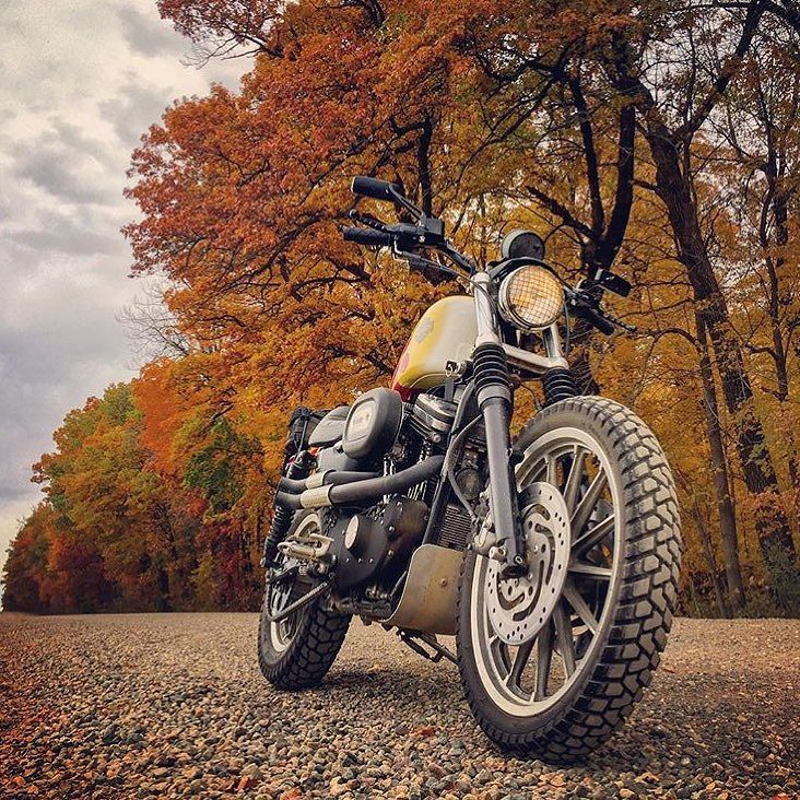 ijustwant2ride's tweet image. #Fall2023  Go ride!
