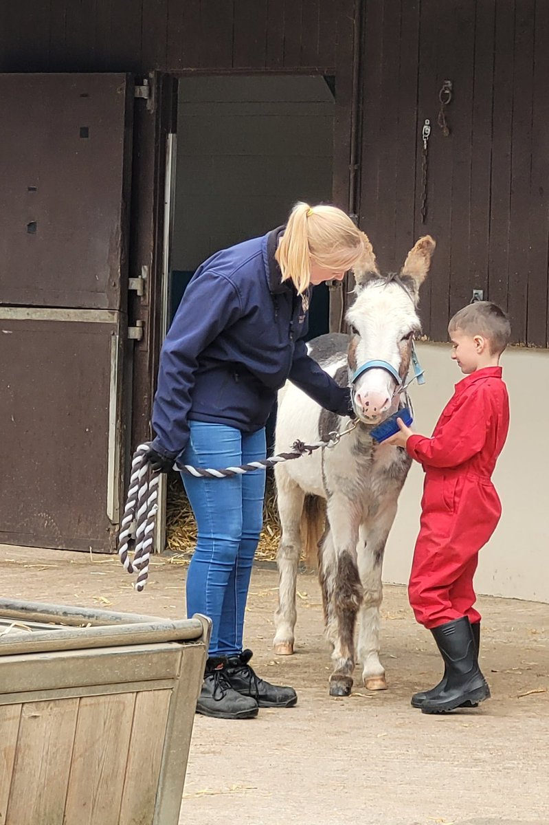 Dawn Monk (@dawnmonk3) on Twitter photo Finally we have an air date for Alex in Animal Care Club at the Donkey Sanctuary, Leeds. It's on Milkshake TV Thursday 14th December at 8am. Can't wait, it feels likes ages ago. Just need to make sure I can record it! @WCPSc2026 @WCommonPS <a href="/just_gilly/">just gilly</a> Finally we have an air date for Alex in Animal Care Club at the Donkey Sanctuary, Leeds. It's on Milkshake TV Thursday 14th December at 8am. Can't wait, it feels likes ages ago. Just need to make sure I can record it! @WCPSc2026 @WCommonPS <a href="/just_gilly/">just gilly</a>