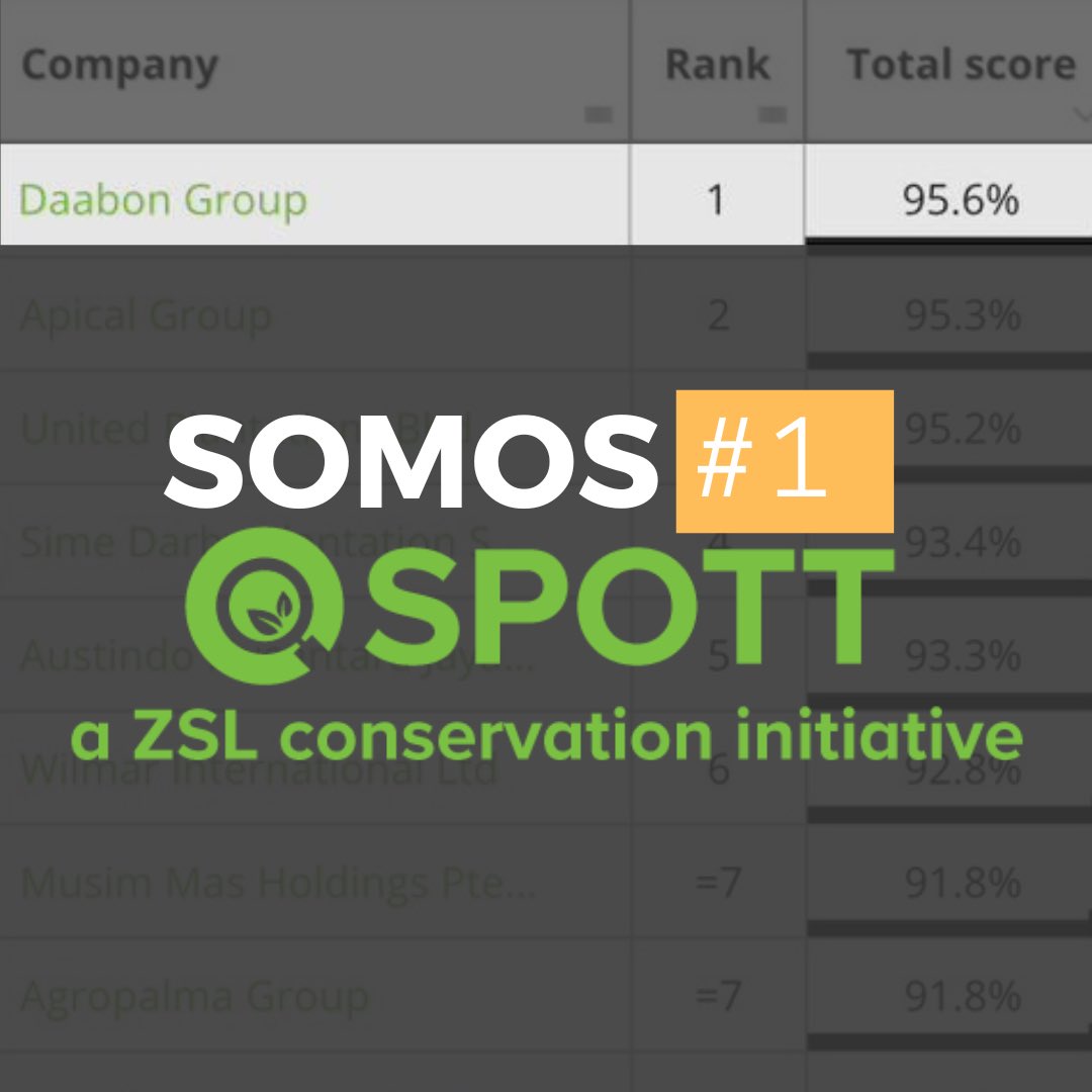 𝗦𝗢𝗠𝗢𝗦 𝗟𝗢𝗦 #𝟭 𝗔 𝗡𝗜𝗩𝗘𝗟 𝗚𝗟𝗢𝗕𝗔𝗟, 𝗦𝗘𝗚Ú𝗡 𝗘𝗟 𝗥𝗔𝗡𝗞𝗜𝗡𝗚 𝗦𝗣𝗢𝗧𝗧 
 
⬇️ Hilo