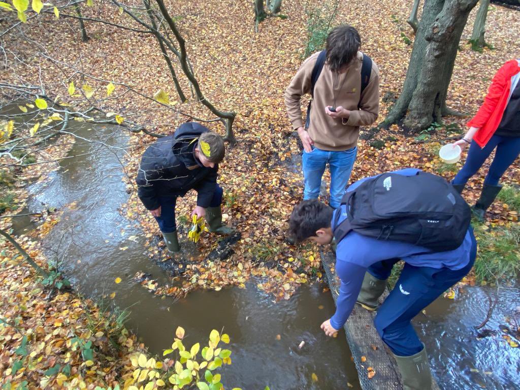 HaileyburyGeog's tweet image. Our U6 IB geographers had a successful day of data collection at @FSCEppingForest yesterday.

Well done to those who came back dry!