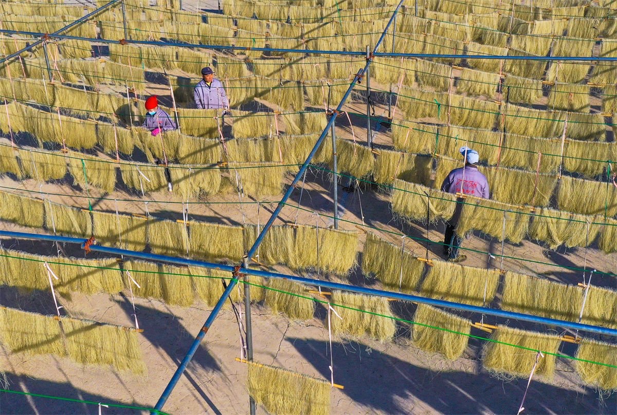 ChinaEmbEsp's tweet image. 📸Campo de procesamiento de #fideos finos en la aldea de Gaojiagou, #Shandong. 🍜 #BellezaChina