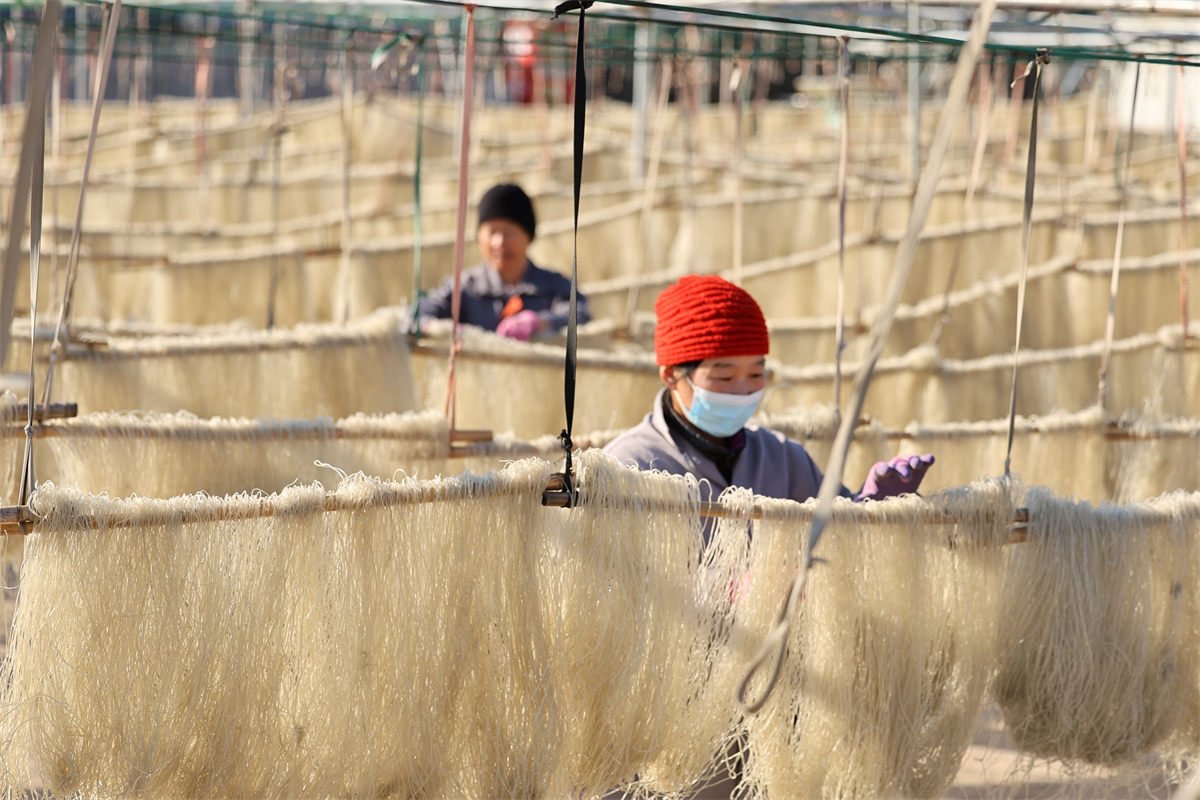 ChinaEmbEsp's tweet image. 📸Campo de procesamiento de #fideos finos en la aldea de Gaojiagou, #Shandong. 🍜 #BellezaChina