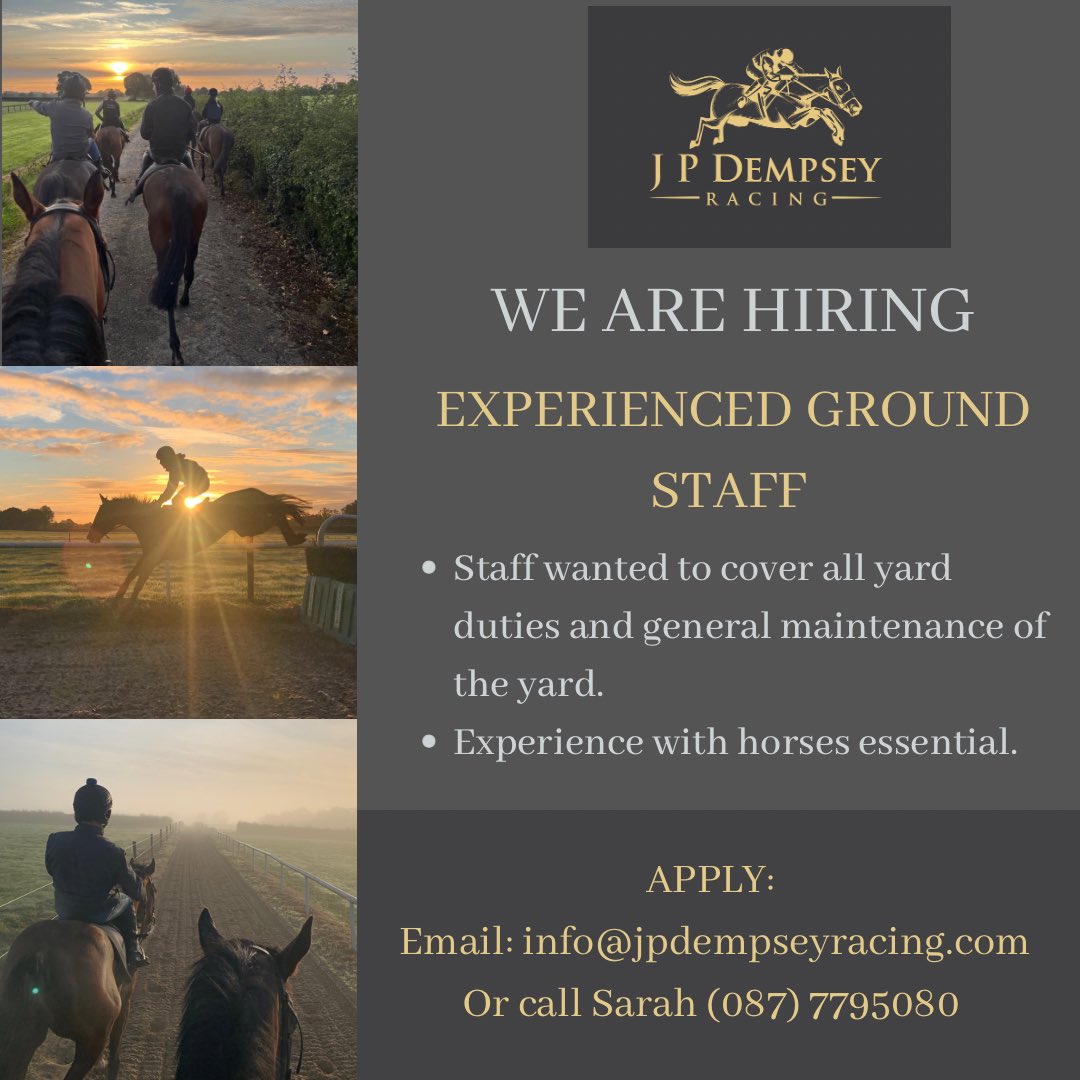 We are hiring 🐎