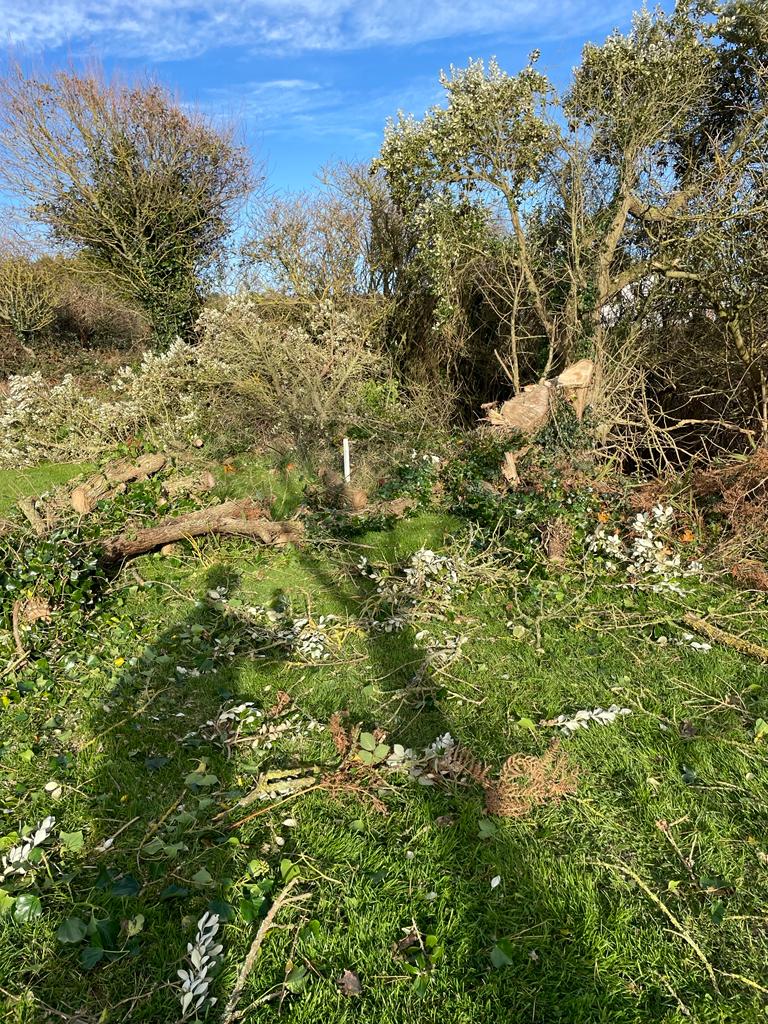 The saws are out and winter maintenance has kicked off <a href="/BlainroeGC/">Blainroe Golf Club</a>