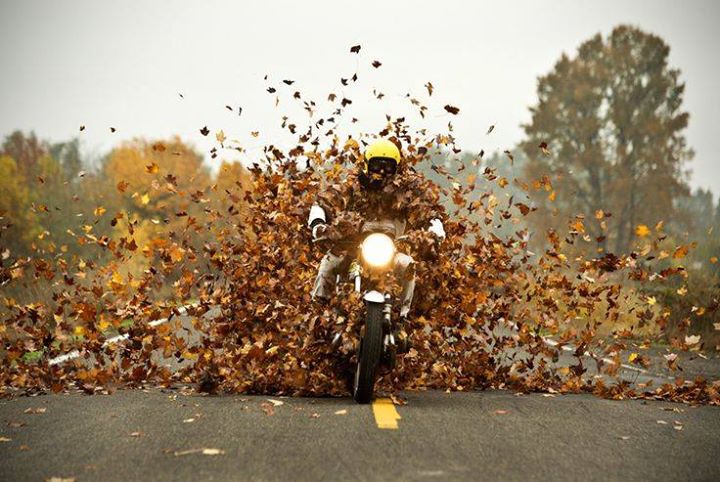 ijustwant2ride's tweet image. #Fall2023
