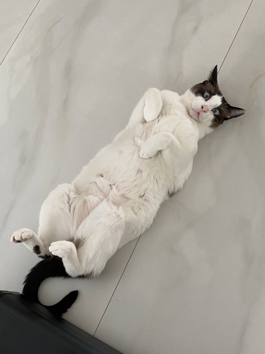 mmaethe's tweet photo. Ta calor aí? https://t.co/wo7SwEGtr7