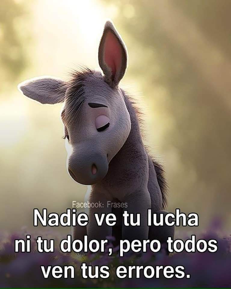 Así es 🤪🥹