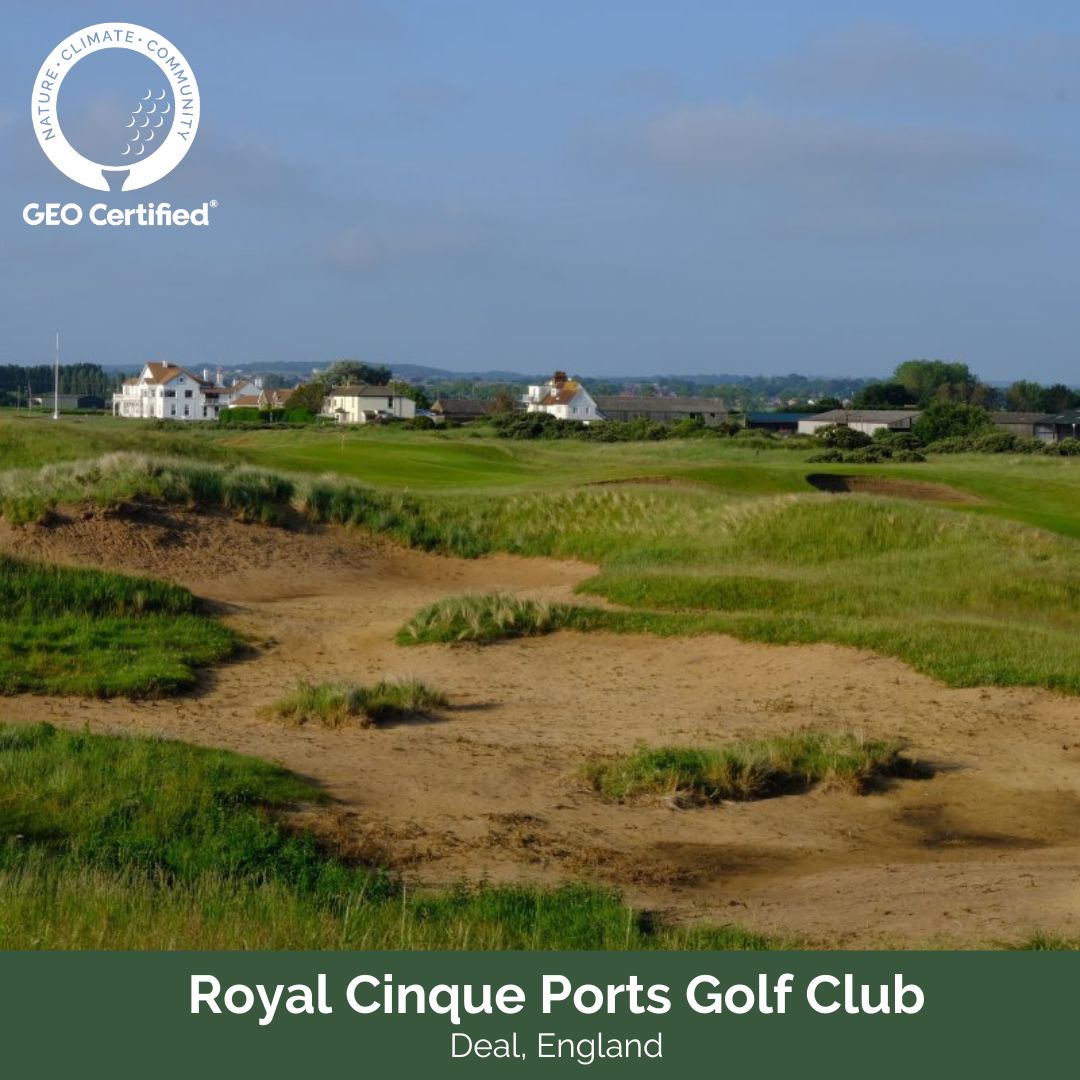 GEO Foundation for Sustainable Golf (@sustainablegolf) on Twitter photo Congratulations on second GEO Certification® award for <a href="/RCPgolfclub/">Royal Cinque Ports Golf Club</a> 👏 
Read more about their sustainability actions from new irrigation to sandy waste areas removing invasive species and much more 👇 
bit.ly/3NKzqcf
Well done on playing a part #ForSustainableGolf ⛳ Congratulations on second GEO Certification® award for <a href="/RCPgolfclub/">Royal Cinque Ports Golf Club</a> 👏 
Read more about their sustainability actions from new irrigation to sandy waste areas removing invasive species and much more 👇 
bit.ly/3NKzqcf
Well done on playing a part #ForSustainableGolf ⛳