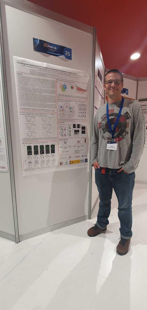 If you want to know more about our work <a href="/cabimer/">Cabimer</a> unraveling the link between the extralysosomal activity of lysosomal proteases and cancer drop by poster P25 at #ASEICACongress