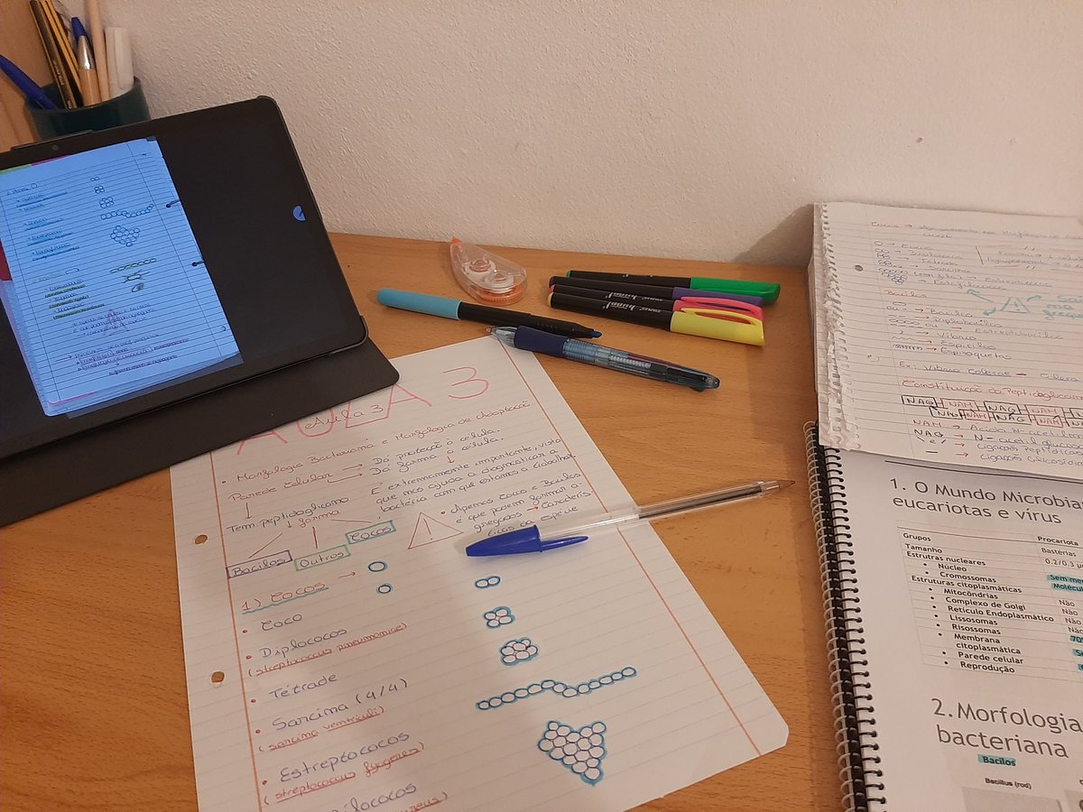 Afonsoo0910's tweet photo. MICROBIOLOGIA... VAI PÁ PUTA QUE TE PARIU 👋🏻😫 https://t.co/BXMWmV07kx