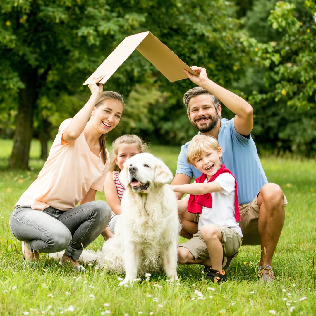 HomelifeShield's tweet image. With Home Life Shield, you can enjoy seamless and easy management of your protection plan. Call our experts at (888) 240-3969 to learn more! #ProtectionPlan #EasyManagement #HomeLifeShield familyhomesafe.com