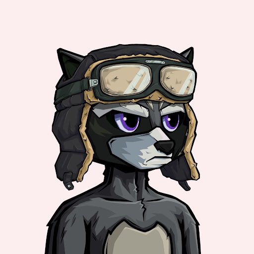 If you hold a <a href="/RaccsNFT/">raccs</a> and like to collect music NFTs on <a href="/BoomBoxMarket/">BoomBox Market 🟣</a> interact with THIS post so we can be friends!