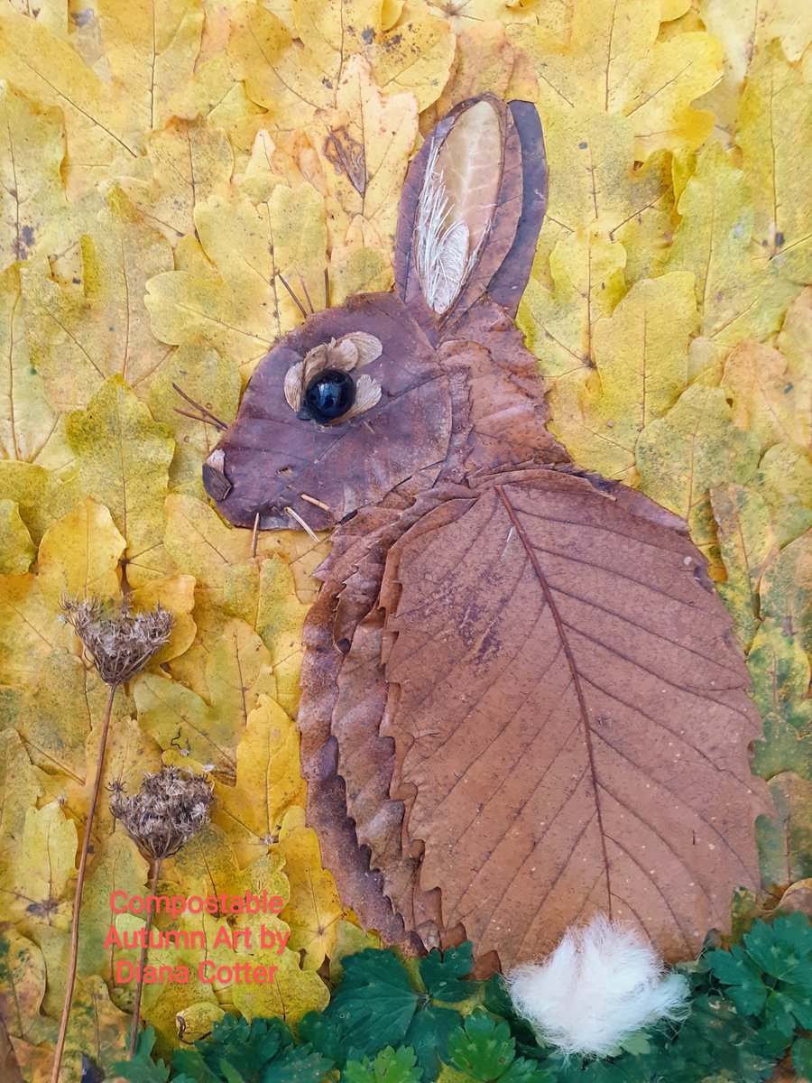 A single Cotton Grass flower and a huge Sweet Chestnut leaf inspired this little Rabbit. #CompostableAutumnArt made entirely from leaves, seedheads and a berry.🍂🐇🍁