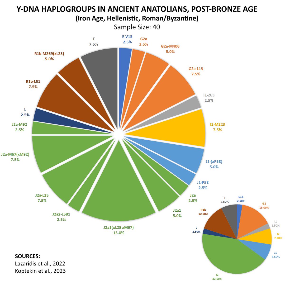Turkish DNA Project tweet media
