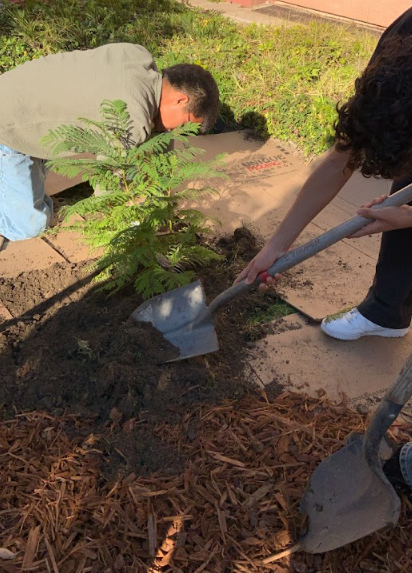 Jan Quilantang tweet media