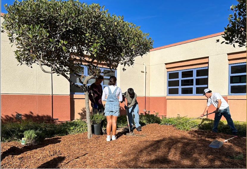 Jan Quilantang (@gtechohs) on Twitter photo GTech Seniors helping to create a memorial garden space for Mr. Borneman, a beloved OHS Teacher to countless students over the years. Thanks to Anna and OUHSD Farm2School for helping us make this happen! <a href="/OUHSDfreshfood/">OUHSD Farm to School</a> <a href="/OUHSD_CE/">OUHSD Career Educati</a> <a href="/ohs_jackets/">Oxnard High School</a> GTech Seniors helping to create a memorial garden space for Mr. Borneman, a beloved OHS Teacher to countless students over the years. Thanks to Anna and OUHSD Farm2School for helping us make this happen! <a href="/OUHSDfreshfood/">OUHSD Farm to School</a> <a href="/OUHSD_CE/">OUHSD Career Educati</a> <a href="/ohs_jackets/">Oxnard High School</a>