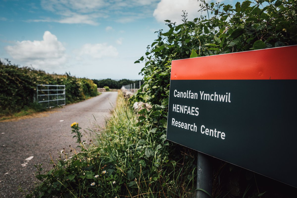 Prysor Williams tweet media