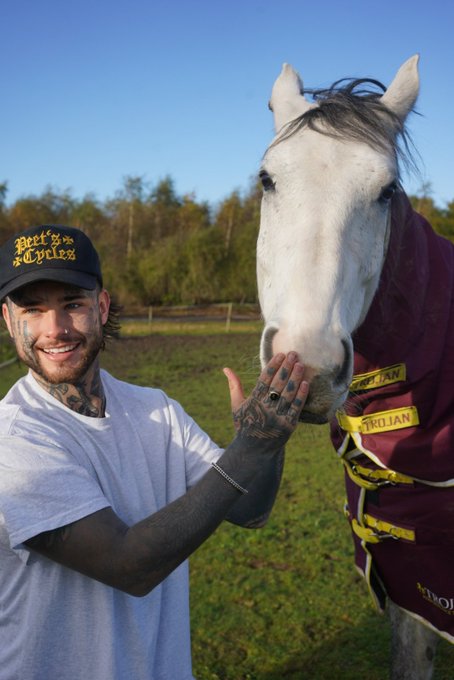 hung like a _______ https://t.co/f77wKbezjm https://t.co/TLGcWddQxb