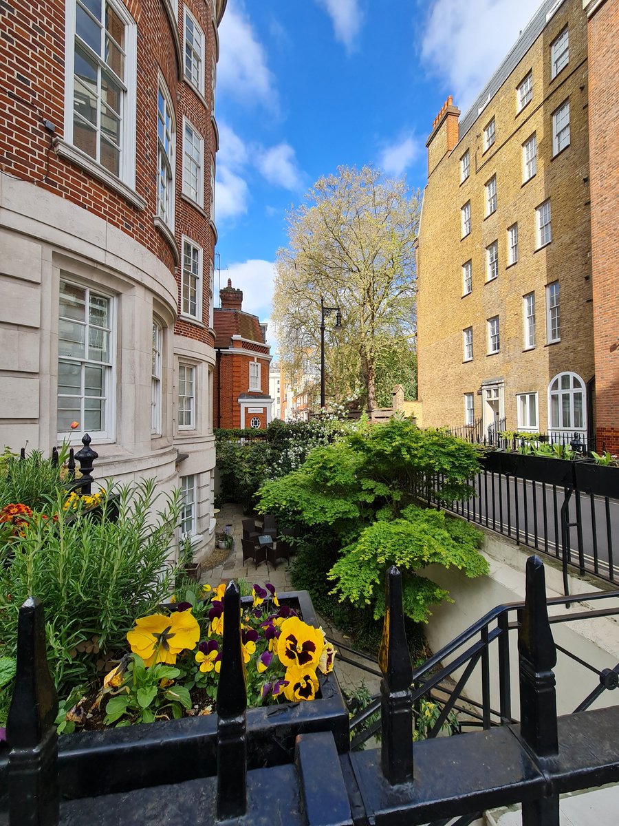 Mayfair Central London embracing the the floral displays of living walls in Urban areas. #nationwidelandscaperecruitment #agencystaff