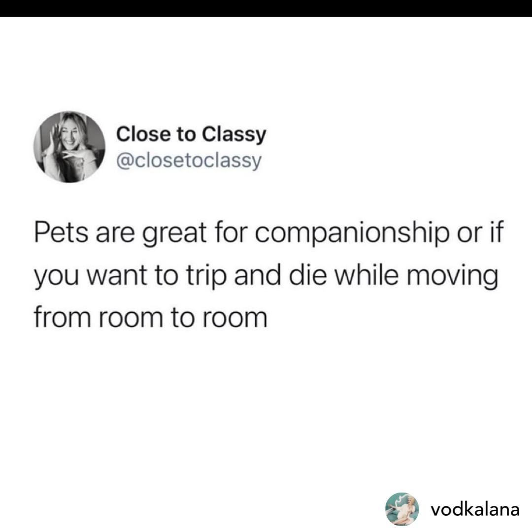 Stokes Pharmacy ® tweet media