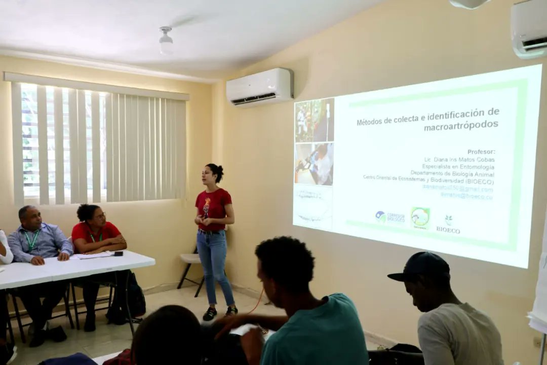 CBCbiodiverso's tweet photo. Inicia el Curso sobre Métodos de colecta e identificación de macroartrópodos, en Mao, cómo una colaboración entre el @c_naturaleza, @BIOECOstgoCuba  y el CBC. https://t.co/6SKg37x6nW