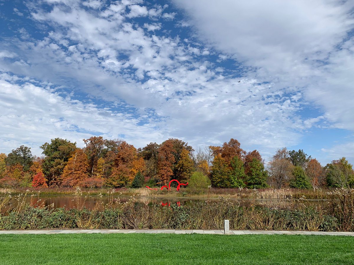 Instituto de Investigación en Biomedicina de BsAs tweet media