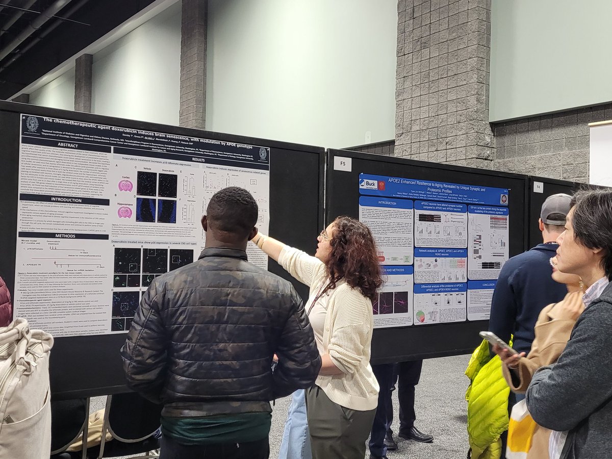 PLOSONE's tweet image. A busy poster session this morning here on Day 4 of #SfN2023 ! Tremendously enjoying talking to researchers shedding new light on #dementia, early #neuraldevelopment, #comparativephysiology, and #bci 🧠 @SfNtweets