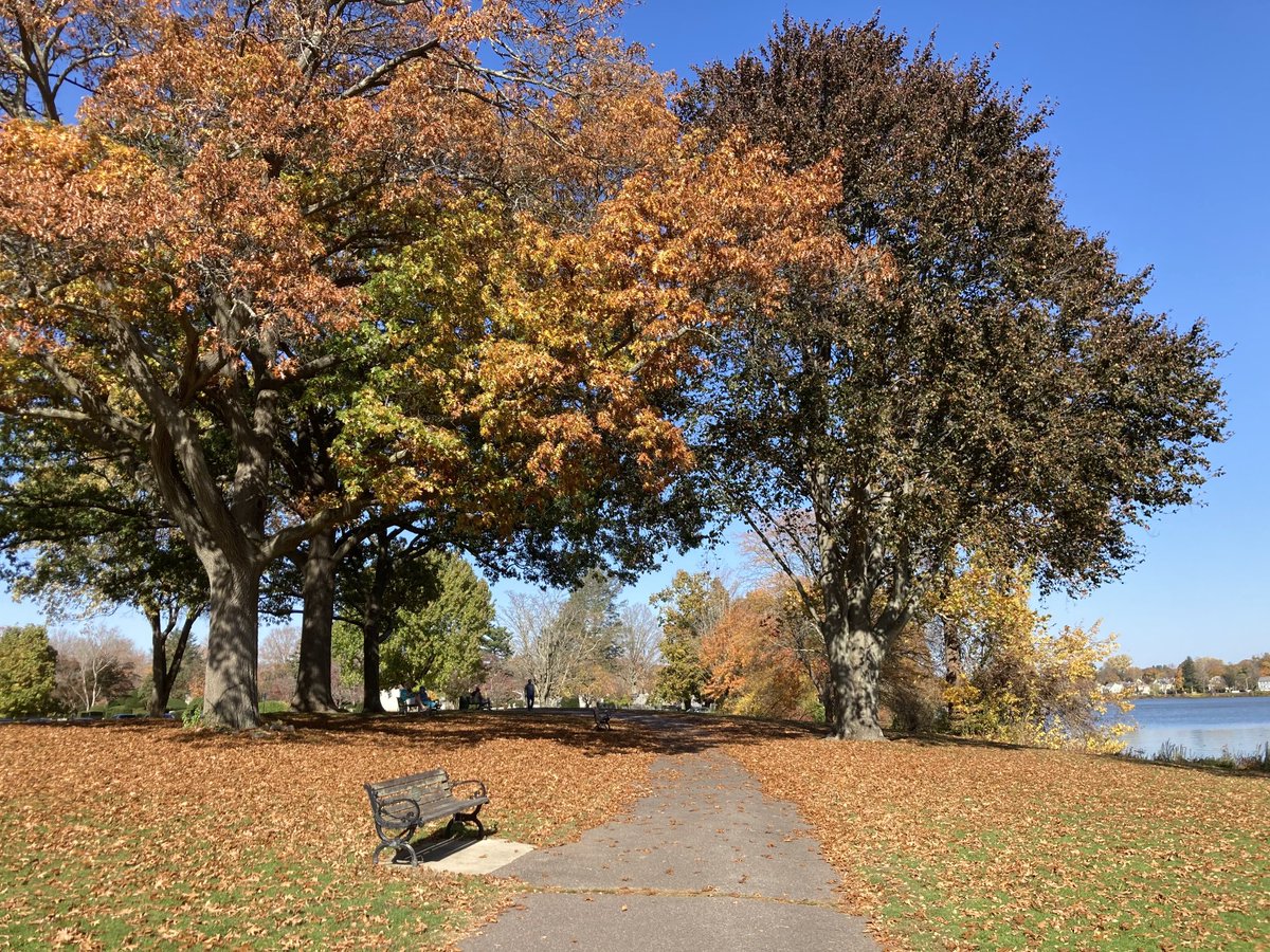📸 Massachusetts 

A walk through the park on a fall day. 

#newengland #fallvibes #photography #park