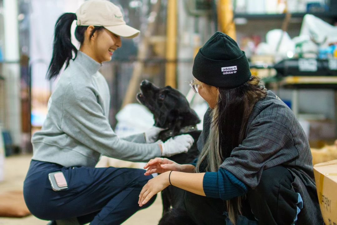 thinkaboutzy's tweet photo. After a few years of not being able to visit our furry friends due to the situation, we’re finally back to our old routine. It’s always fun to do some volunteer works with Jeongyeon unnie. https://t.co/dzLFrIVTqj