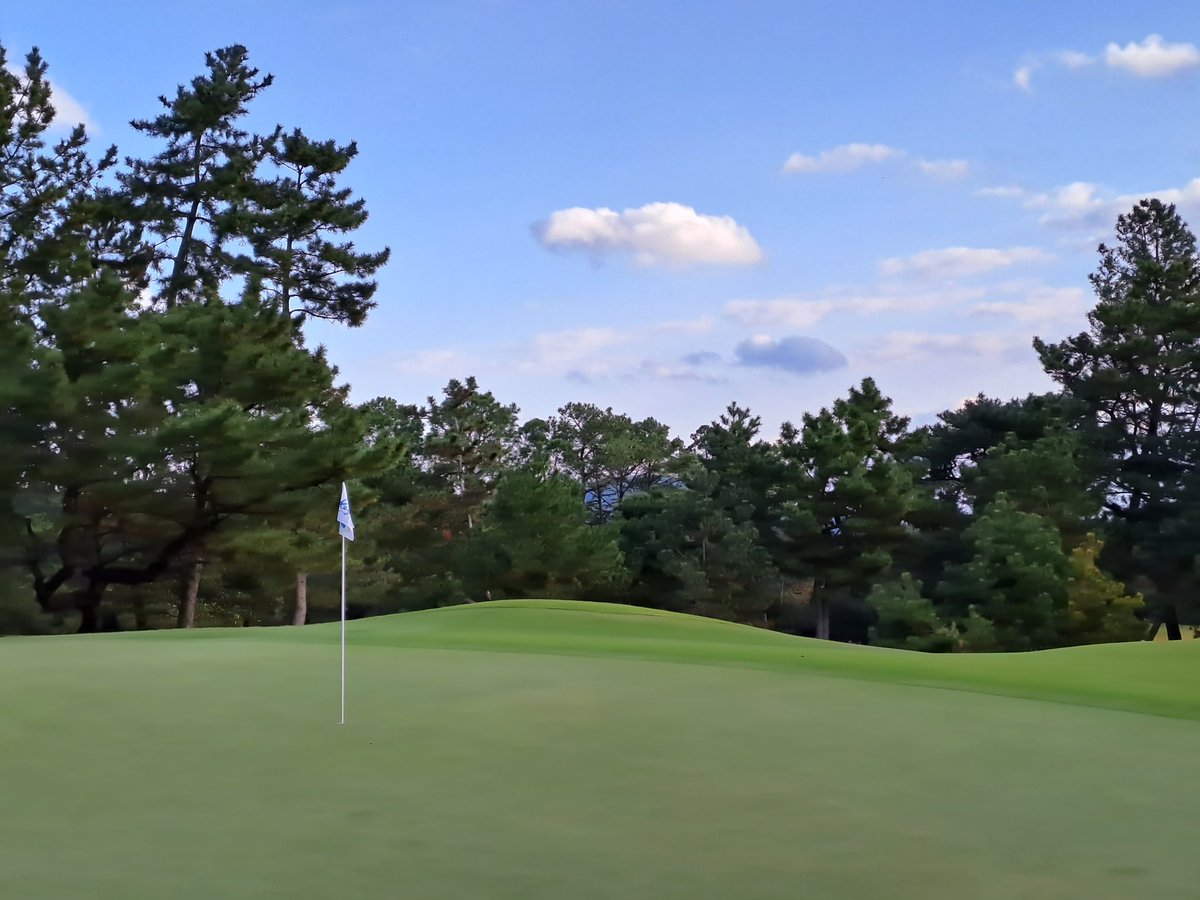 Micah Woods tweet media