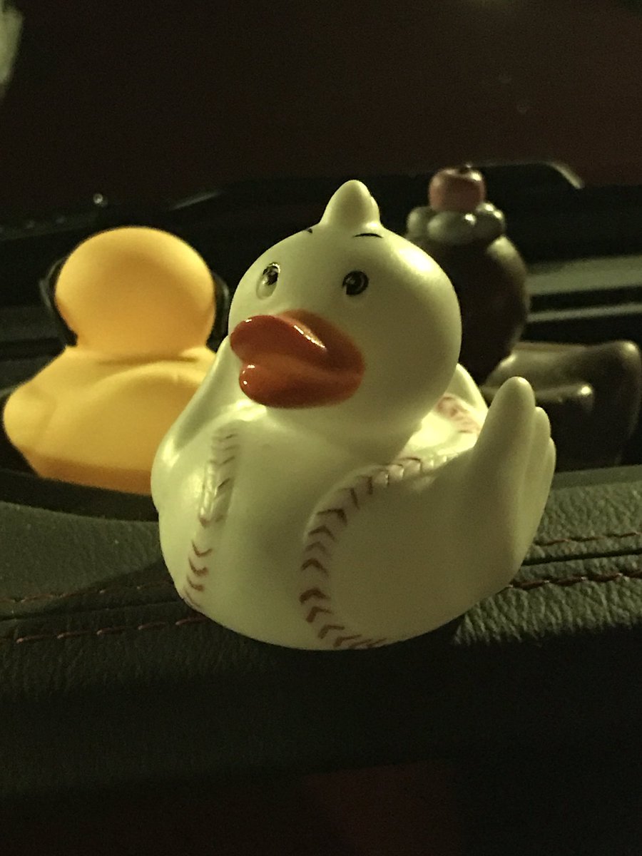 siwinski's tweet image. Got #Ducked !
(Ty)    #Jeep