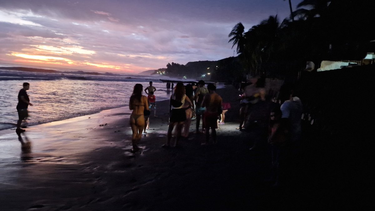 DerPhilBert_1's tweet photo. #FreetheTurtles
#ElZonte #ElSalvador https://t.co/75ve0wA8Ui