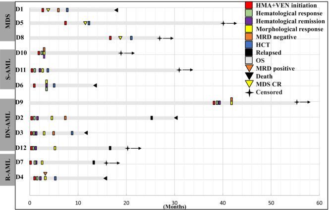 Venetoclax plus hypomethylating agents in DDX41-mutated acute myeloid leukaemia and myelodysplastic syndrome: a Mayo Clinic series 

onlinelibrary.wiley.com/doi/10.1111/bj… 
#leusm #mdssm #DDX41 @MrinalPatnaik @MRLitzow @AlkaliDr @n_gangat