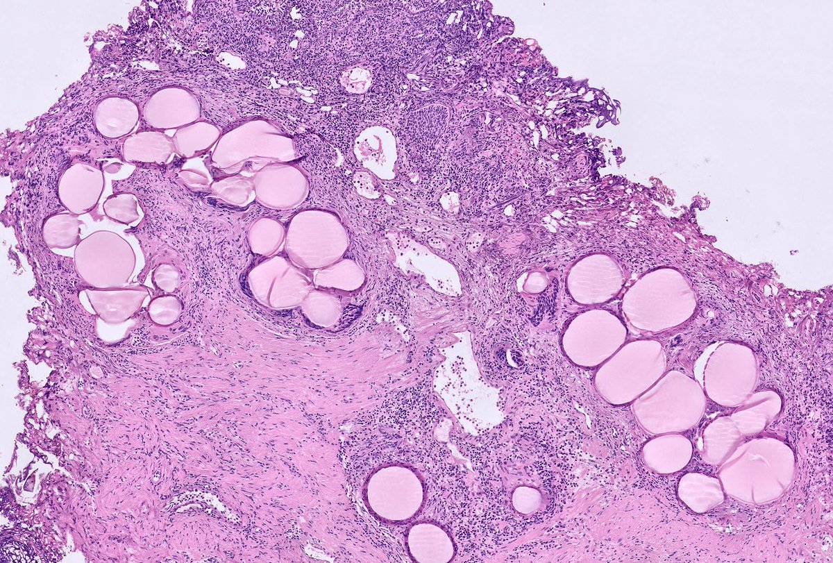 Laurence Galea tweet media