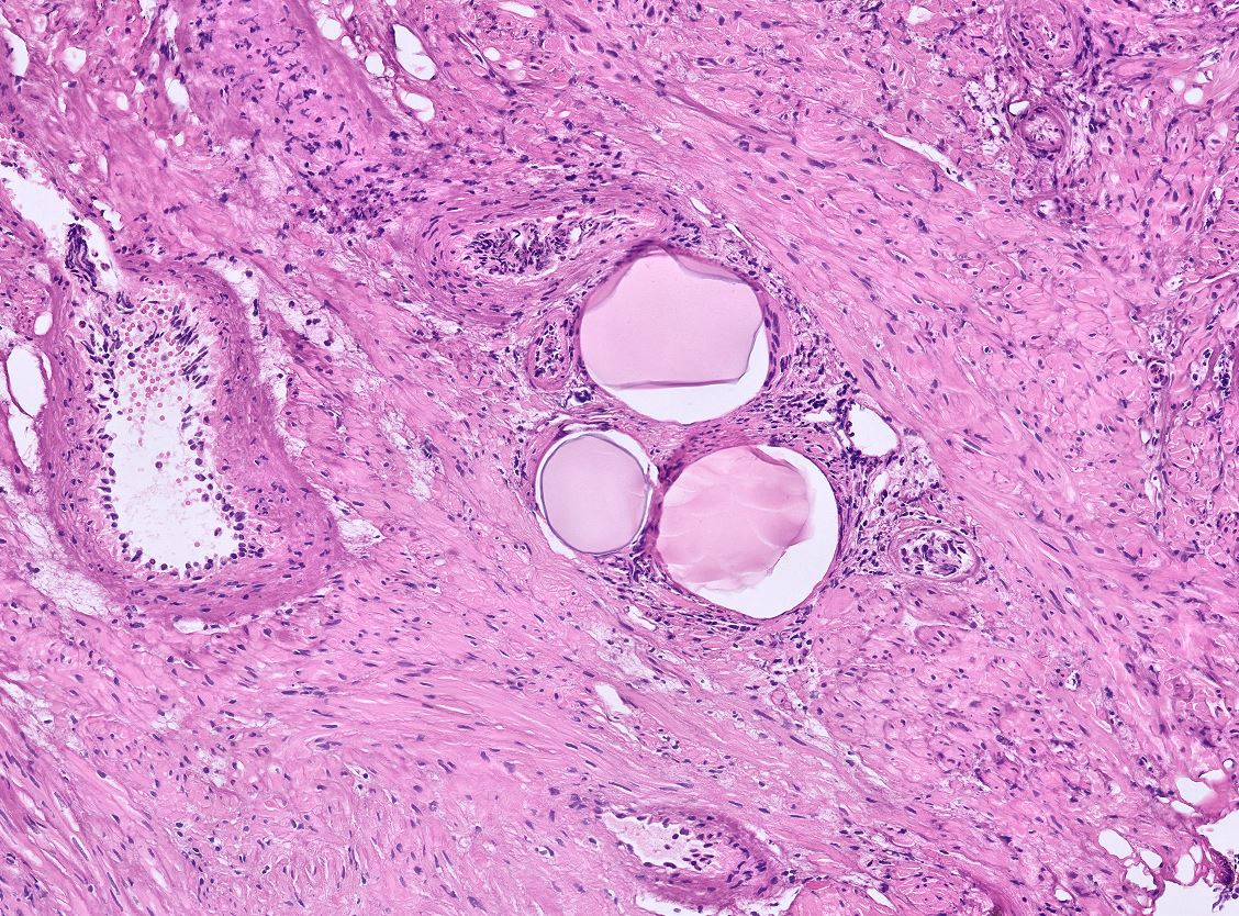 Laurence Galea tweet media