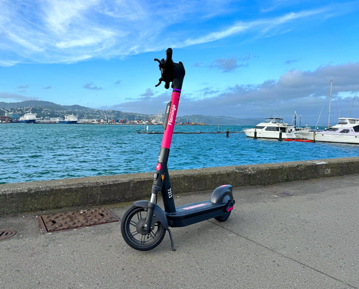 Flamingo is thrilled to announce the launch of our latest generation scooters in Wellington!  🛴🦩

Featuring improved performance, a larger front wheel, a phone holder, turning signals and much more. Use the code 10NEW for 10 minutes off your first ride! 🎉
