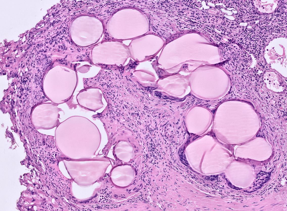 Laurence Galea tweet media