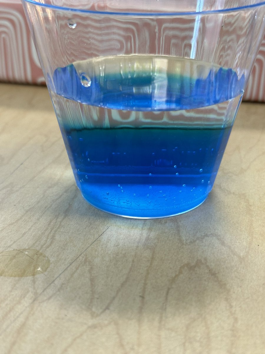 Science Rules!! Today we did a layered water investigation “This is so cool!” “I want to show my parents at home!”
