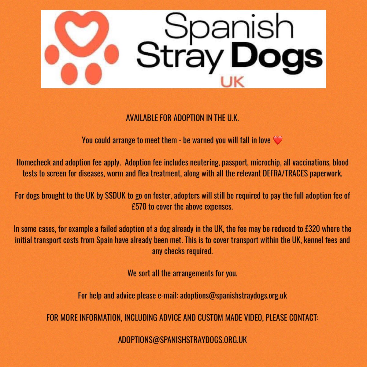 PAULO - ALREADY IN U.K. ❤️

**FOSTER/ADOPER PLEASE - ADOPTION FEE £320**

Sadly Paulo is coming back to us. Sadly he doesn’t get on with adopter’s female dog, they’re very upset at having to give him up. 

Please email: Adoptions@spanishstraydogs.org.uk

Thank you 🧡

#rehomehour